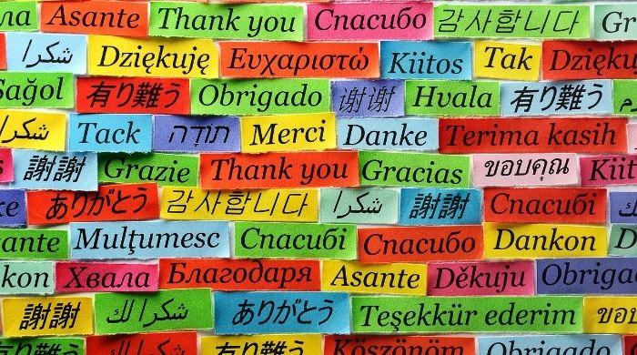 Thank You for Providing Emergency Support