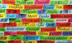 Thank You for Providing Emergency Support